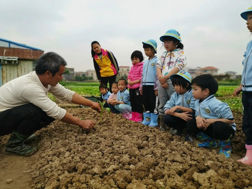 幼儿园春耕活动主题图片